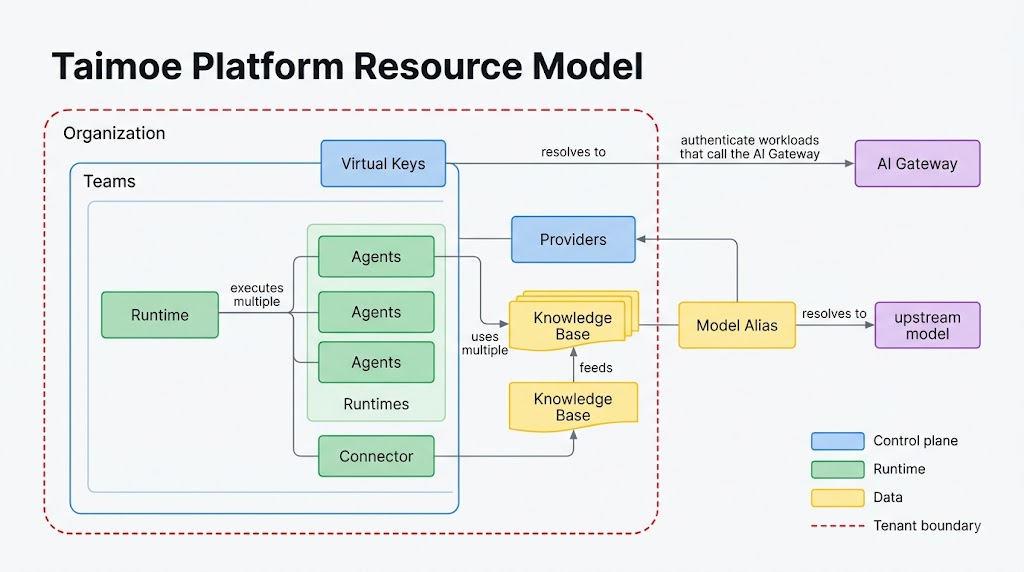 Taimoe Platform resource hierarchy and tenant boundary